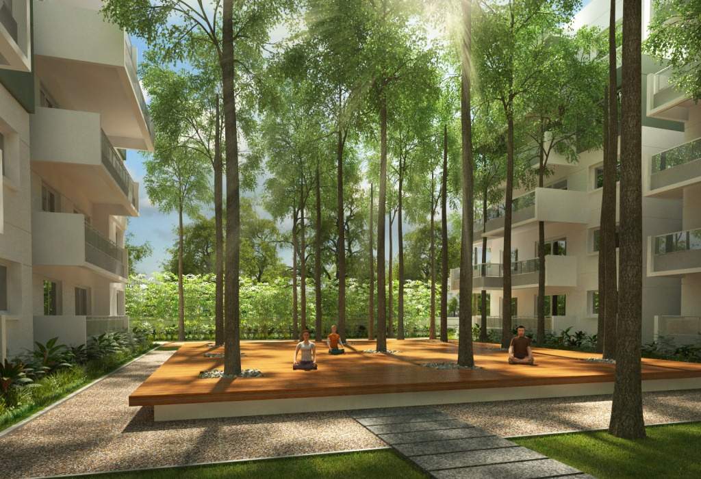  tropicale Images for Amenities of Mana Tropicale