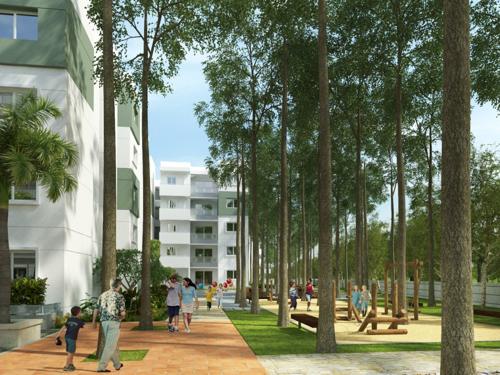  tropicale Images for Amenities of Mana Tropicale