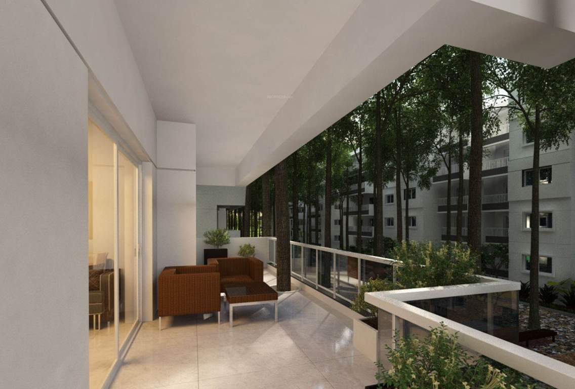  tropicale Images for Main Other of Mana Tropicale