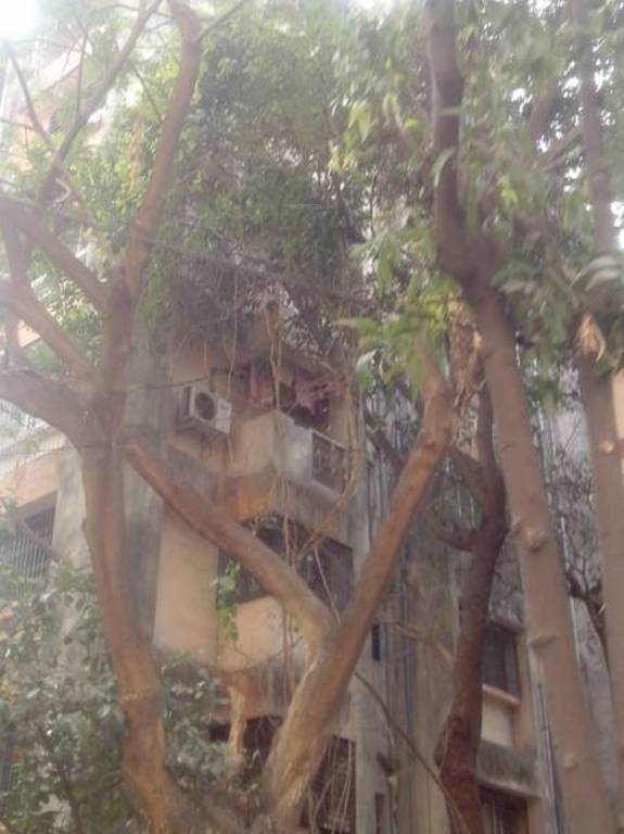 Images for Elevation of Pooja Builders And Developers Pooja Apartment