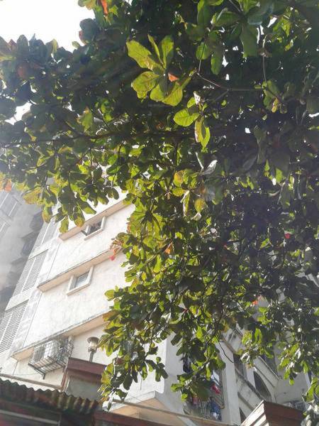 Images for Main Other of Reputed Builder Jimmy Tower Apartment Images for Main Other of Reputed Builder Jimmy Tower Apartment