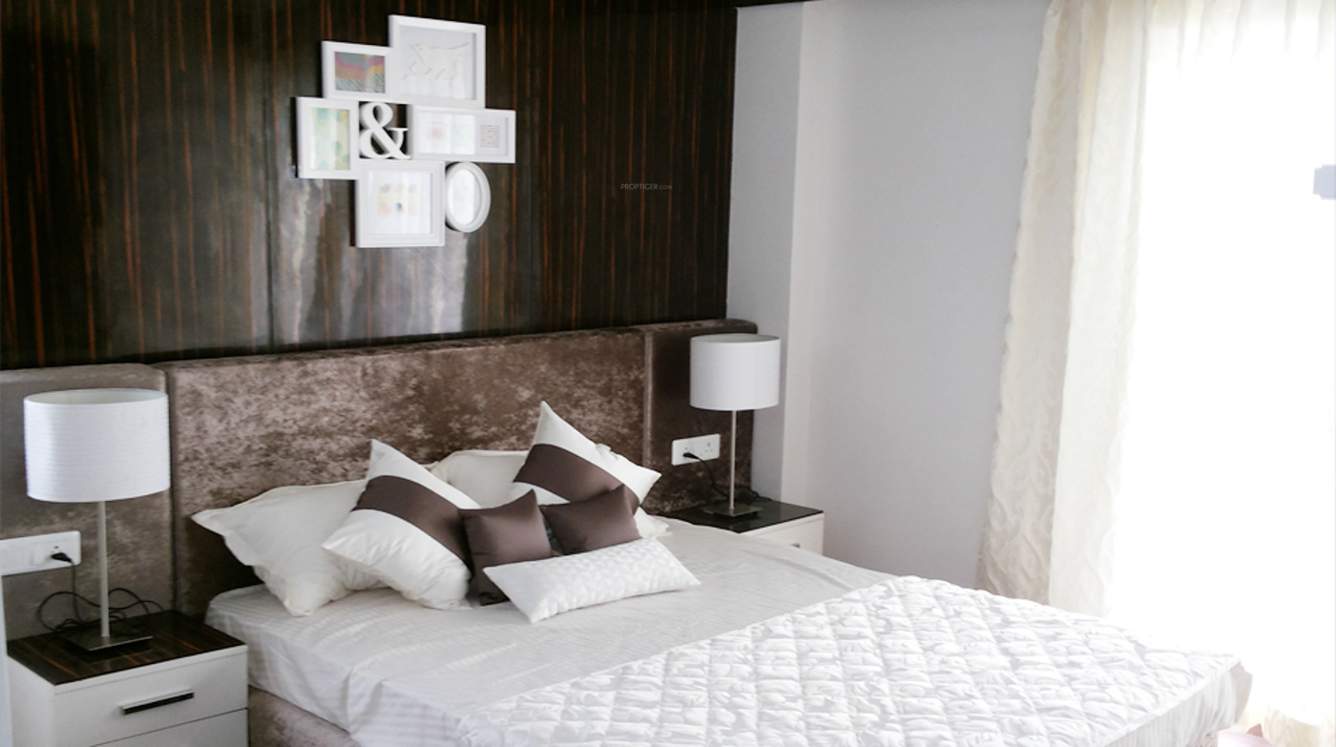  splendour Images for Main Other of SLV Splendour