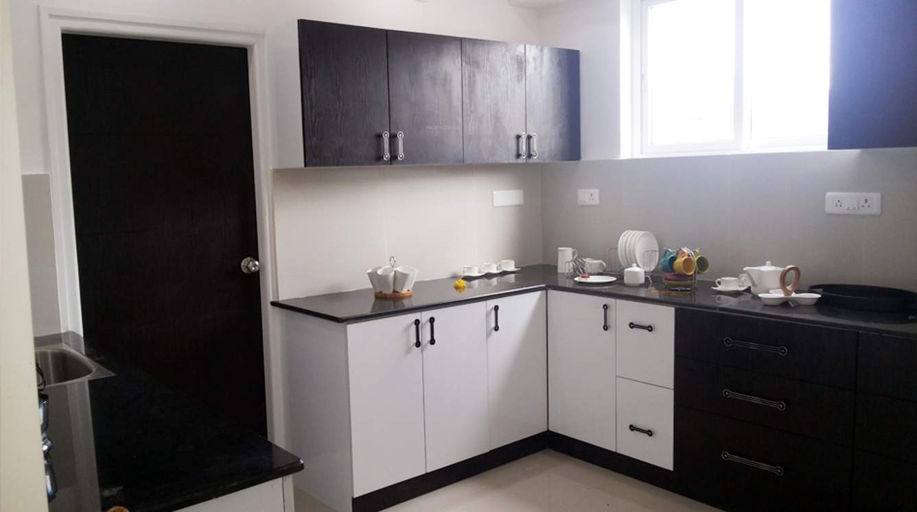  splendour Images for Main Other of SLV Splendour