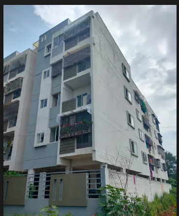  newyork-meadows Elevation