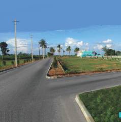 Project Image Project Image