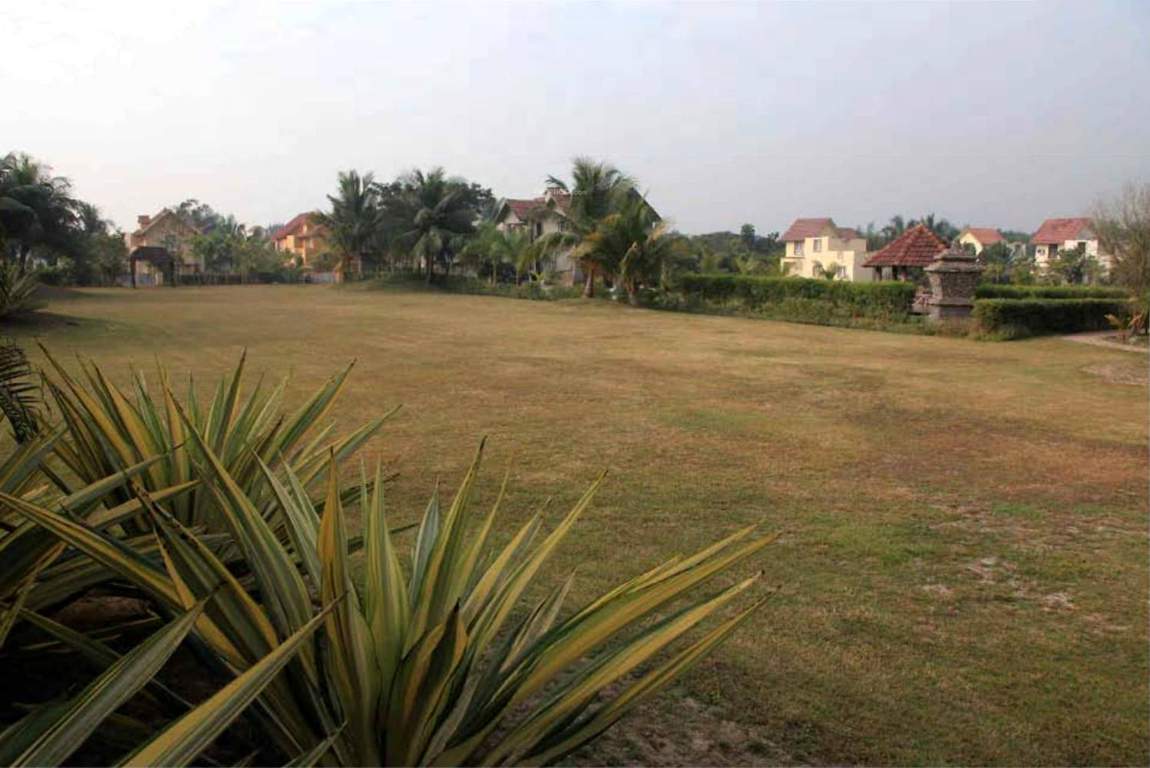 Images for Amenities of Creative Country Roads