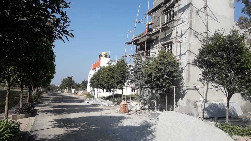  eco front Construction Status Dec 20