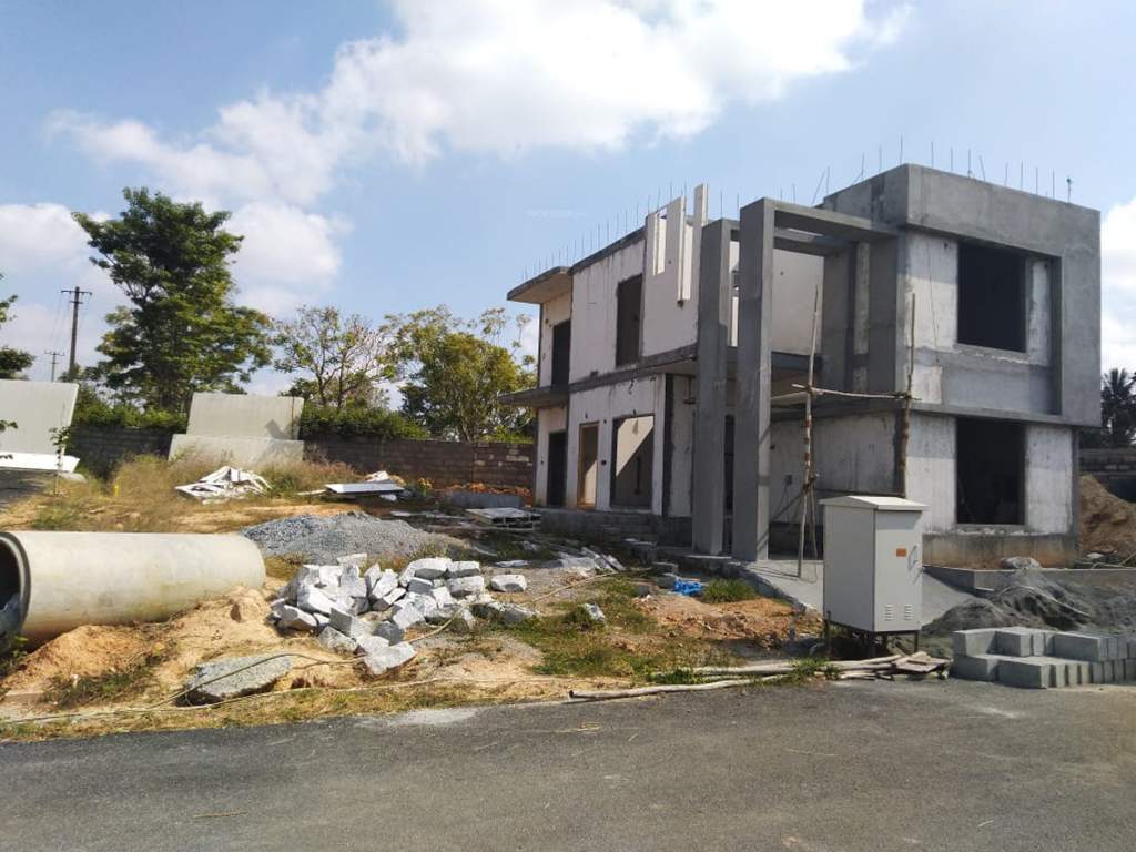  eco front Images for Main Other of Celebrity Eco Front