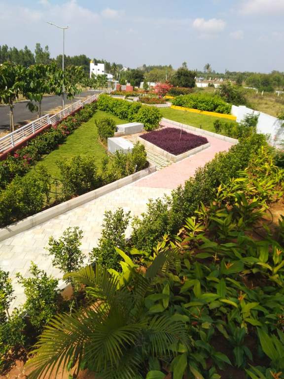  eco front Images for Main Other of Celebrity Eco Front