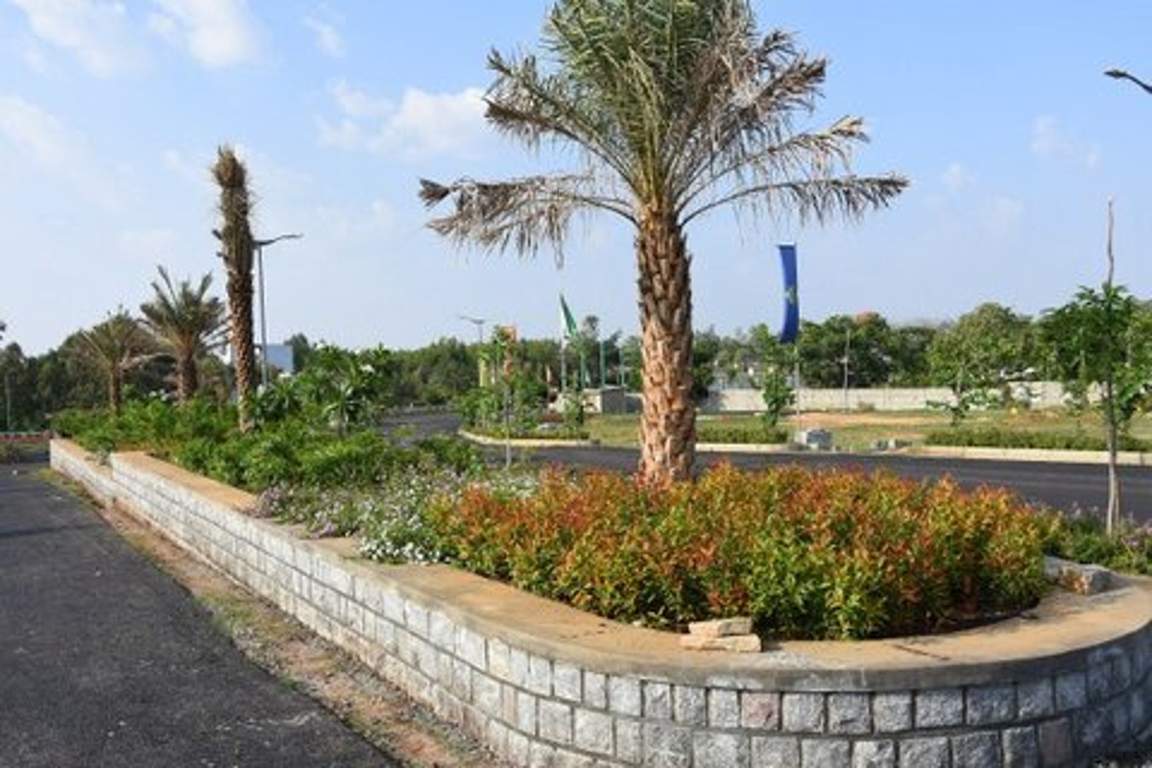  eco front Images for Main Other of Celebrity Eco Front