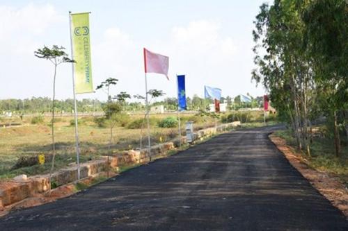  eco-front Images for Main Other of Celebrity Eco Front