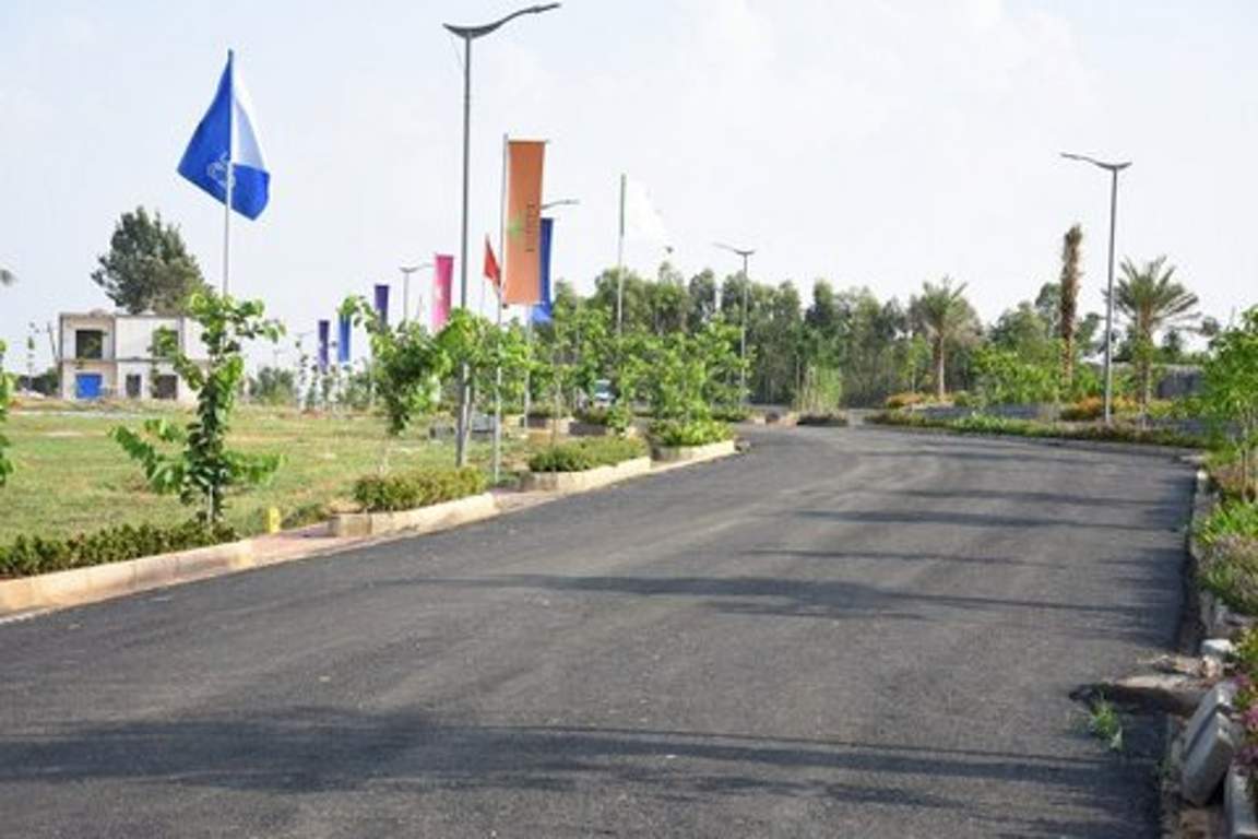  eco front Images for Main Other of Celebrity Eco Front