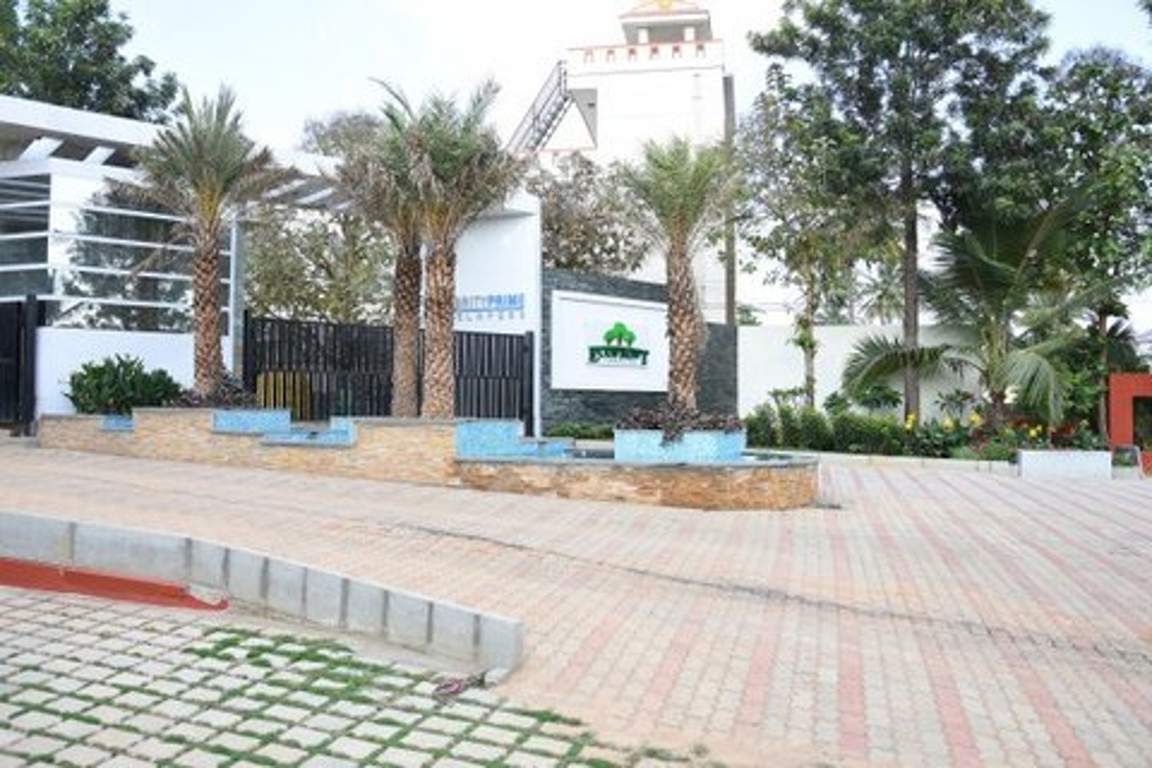  eco front Images for Main Other of Celebrity Eco Front