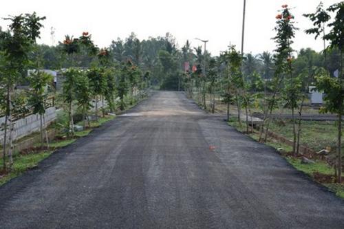  eco-front Images for Main Other of Celebrity Eco Front