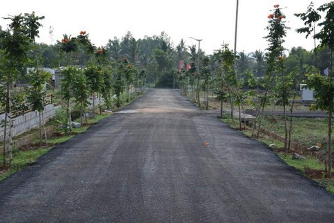  eco front Images for Main Other of Celebrity Eco Front