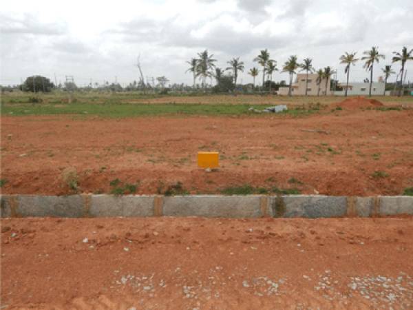 Images for Amenities of Enrich Up Town