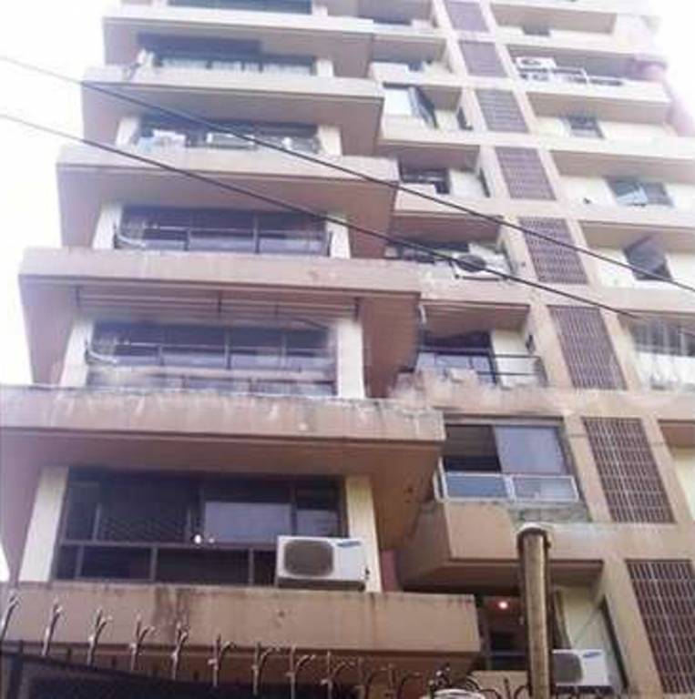 rizvi complex Elevation