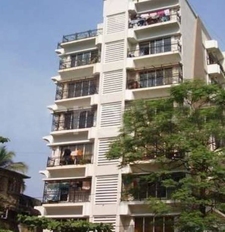 rizvi complex Elevation