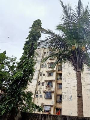 Images for Project Images for Project