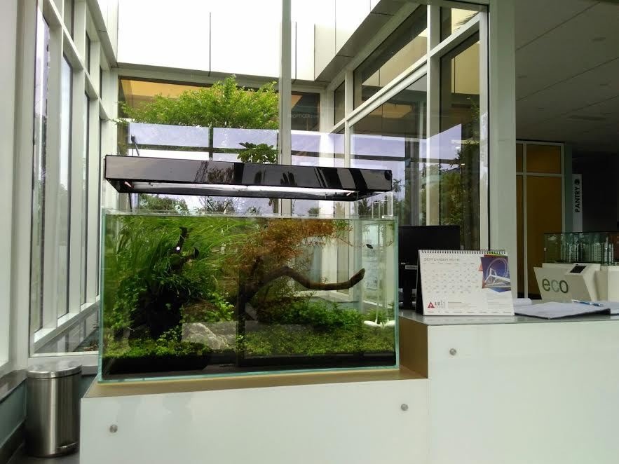 Images for Amenities of Amit Realty and Shree RSH Group The Ecos