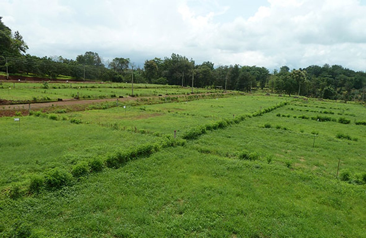 Images for Amenities of Emarrald Q Gardens