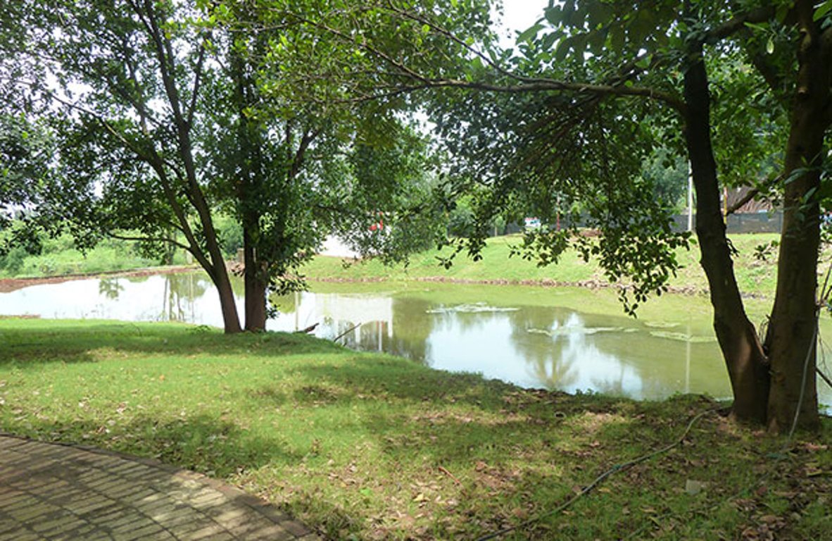 Images for Amenities of Emarrald Q Gardens