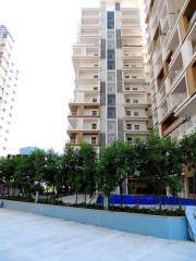 Project Image Project Image