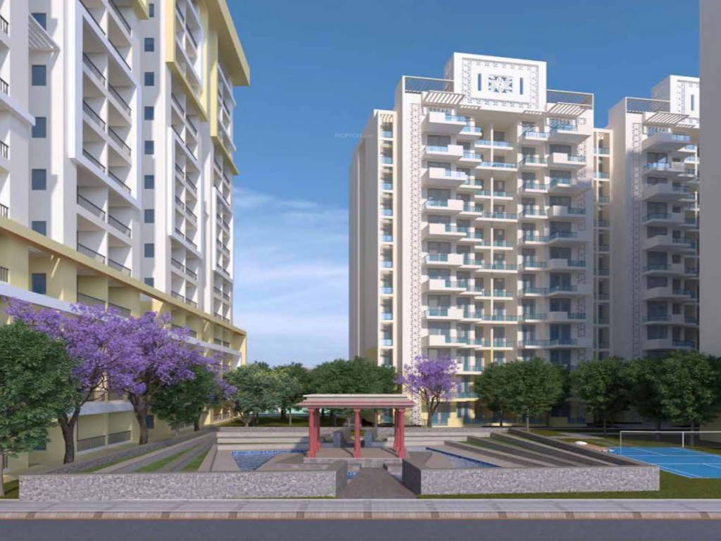  the amaryllis Elevation