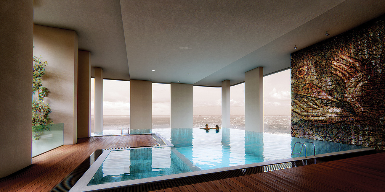 Unity The Amaryllis Phase 1