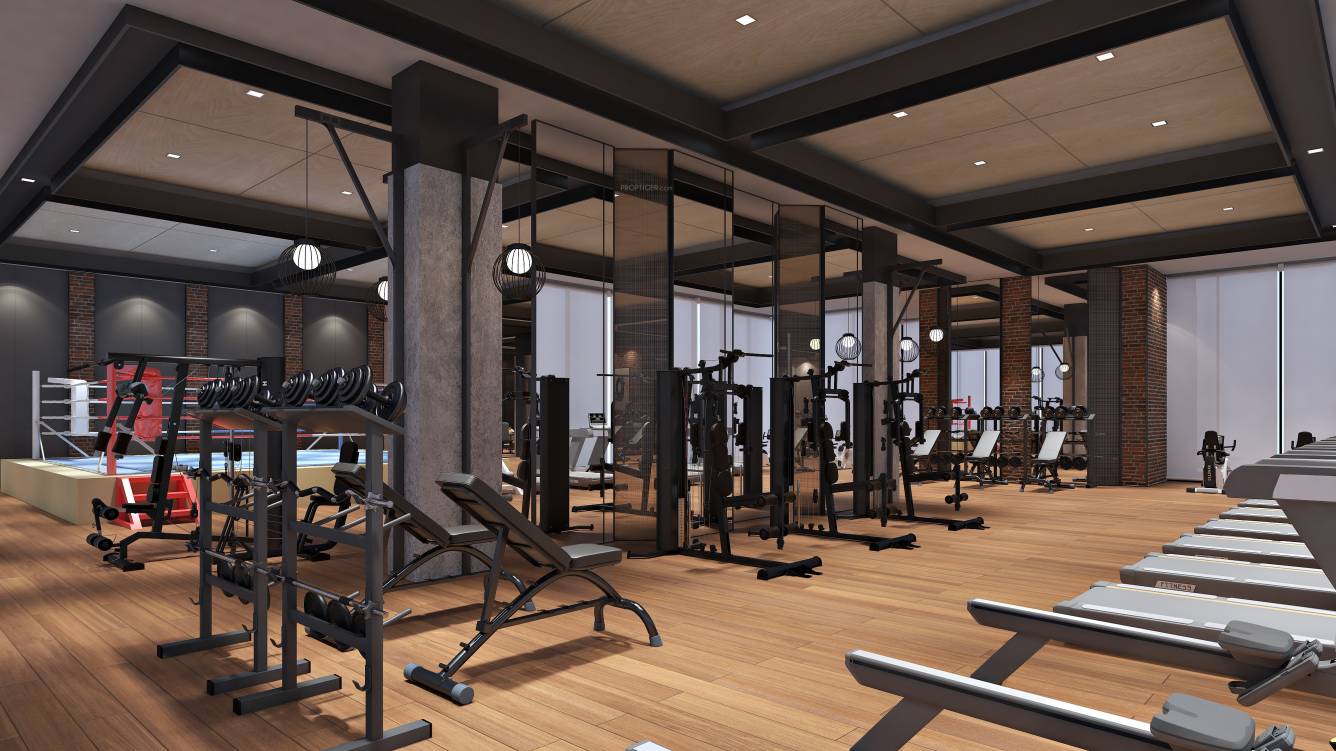  the amaryllis Gymnasium