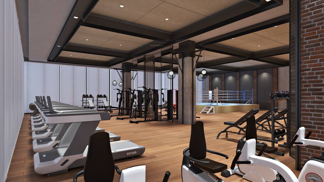  the amaryllis Others