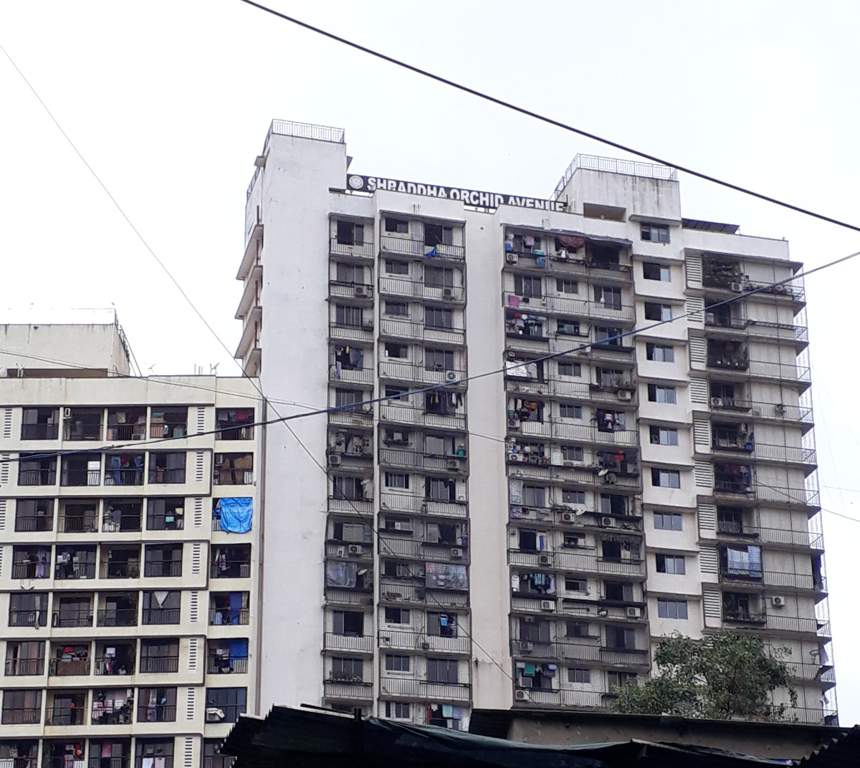  orchid avenue Elevation
