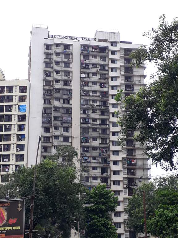  orchid avenue Elevation