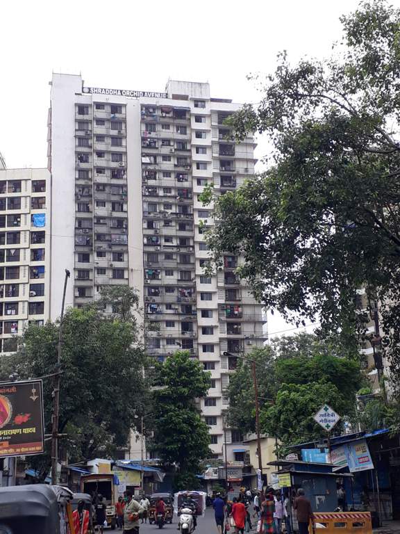  orchid avenue Elevation