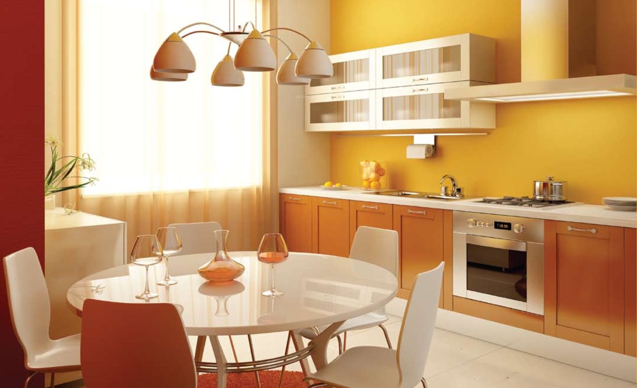 Images for Main Other of Forus Initiatives Maple