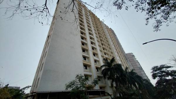 Elevation golden-isle Elevation