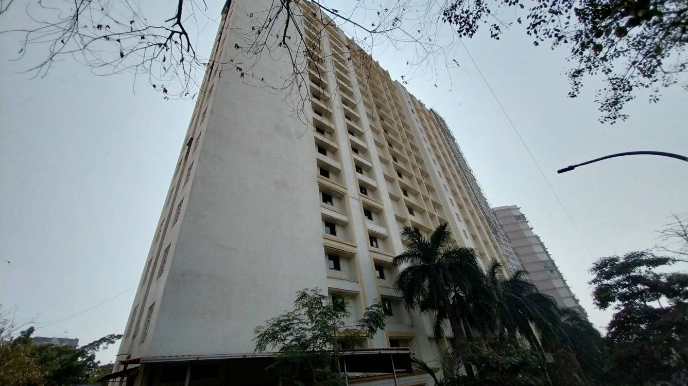 golden isle Elevation