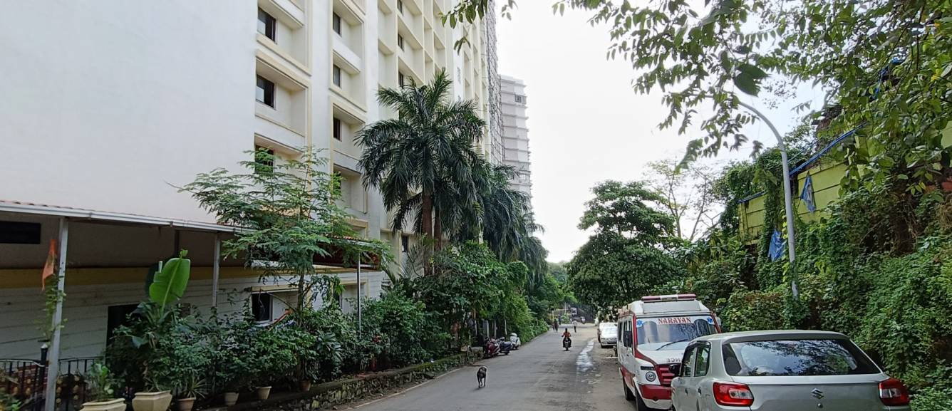 golden isle Internal Roads & Footpaths