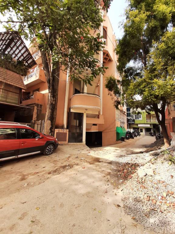 emerald nest Elevation