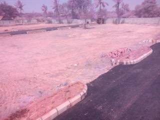 Project Image Project Image