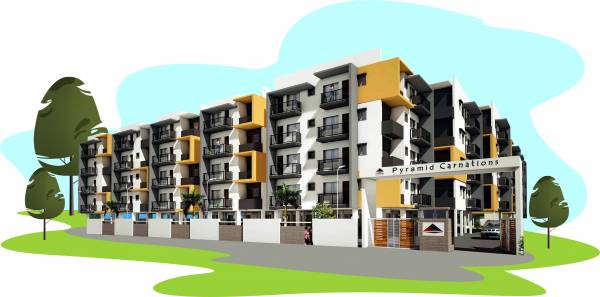  carnations Images for Elevation of Pyramid Carnations