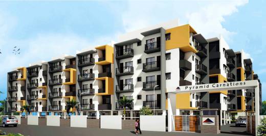 carnations Images for Elevation of Pyramid Carnations Images for Elevation of Pyramid Carnations