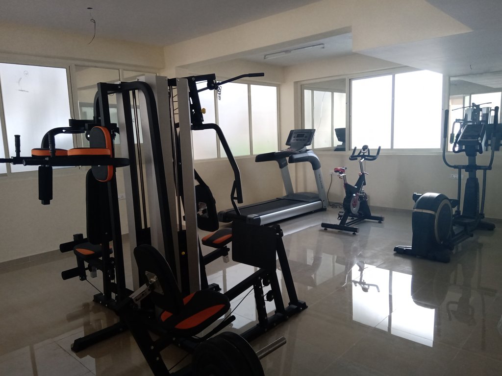 carnations Images for Amenities of Pyramid Carnations