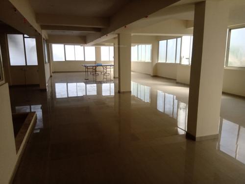  carnations Images for Amenities of Pyramid Carnations