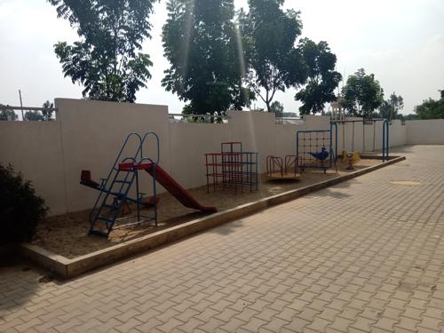  carnations Images for Amenities of Pyramid Carnations