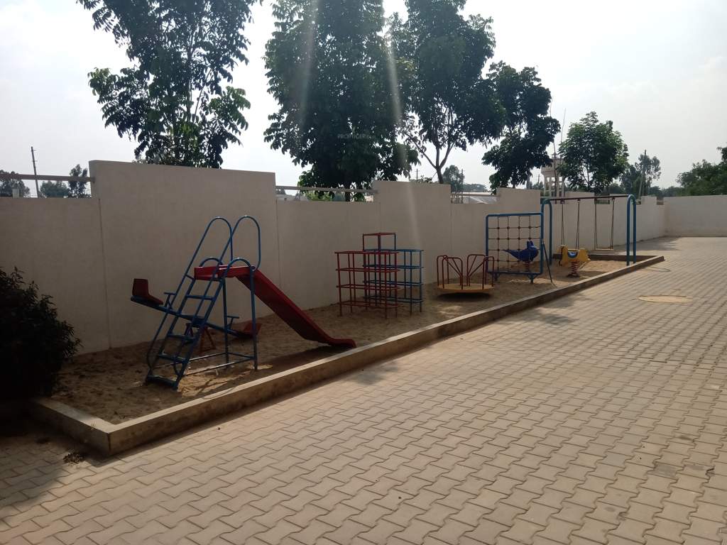 carnations Images for Amenities of Pyramid Carnations