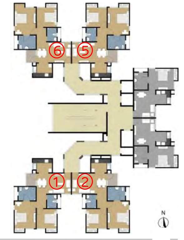 the evergreen Images for Cluster Plan of Adani The Evergreen