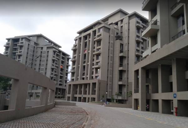  skyi-songbirds-phase-c Elevation