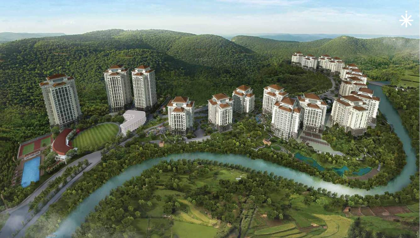  skyi songbirds phase c Images for Elevation of Skyi Skyi Songbirds Phase C