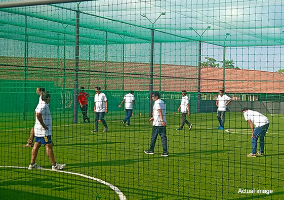 Enerrgia Skyi Songbirds Phase C